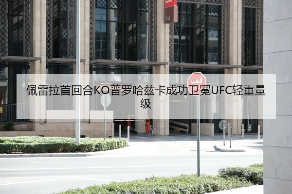 佩雷拉首回合KO普罗哈兹卡成功卫冕UFC轻重量级
