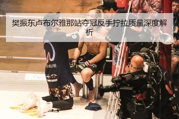 樊振东卢布尔雅那站夺冠反手拧拉质量深度解析