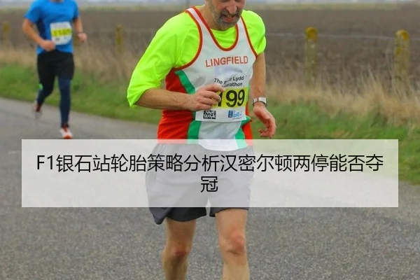 F1银石站轮胎策略分析汉密尔顿两停能否夺冠