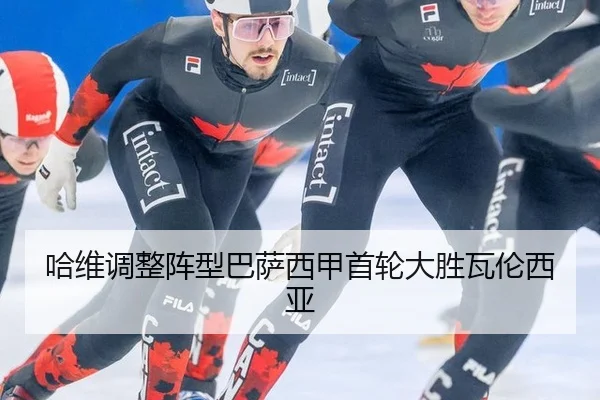 ha-wei-tiao-zheng-zhen-xing-ba-sa-xi-jia-shou-lun-da-sheng-wa-lun-xi-ya-2-953.jpg