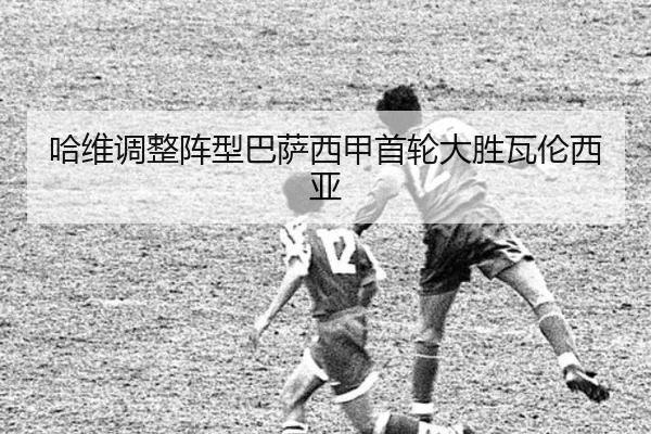 ha-wei-tiao-zheng-zhen-xing-ba-sa-xi-jia-shou-lun-da-sheng-wa-lun-xi-ya-3-695.jpg