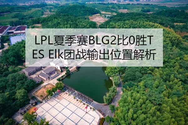 LPL夏季赛BLG2比0胜TES Elk团战输出位置解析