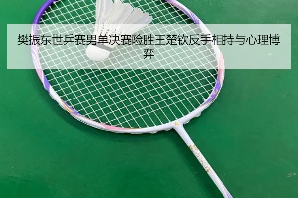 樊振东世乒赛男单决赛险胜王楚钦反手相持与心理博弈